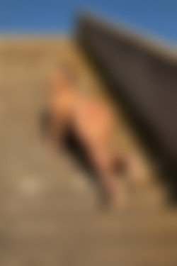 2022phdee/2021-12/[photodromm] 2021-12-26 Brenda - Place of Honor II (x46, 3000px)/Place of Honor II (15).jpeg