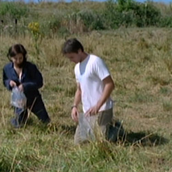 Bongwater.1998.1080p.WEB.H264-RVKD